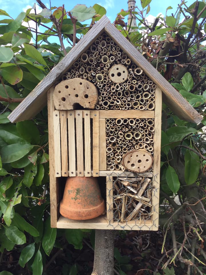 Notre hôtel à insectes