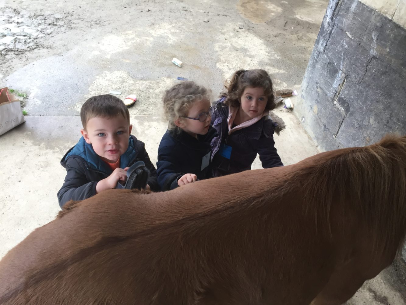 Deuxième séance au poney club