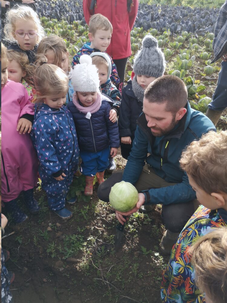 A la découverte des choux et des courges